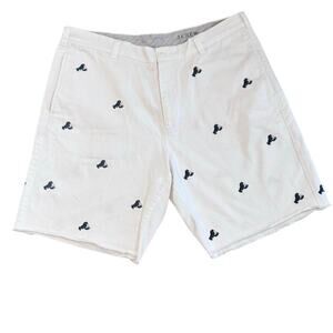 J CREW Lobster Chino Shorts White Navy Broken‎ In Regular Fit Men's Sz 38